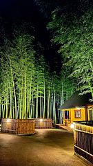 貸切別荘あかがね荘-image