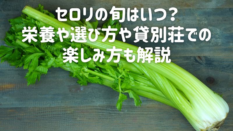 セロリの旬はいつ?栄養や選び方や貸別荘での楽しみ方も解説 - TRIPTO(トリプト)