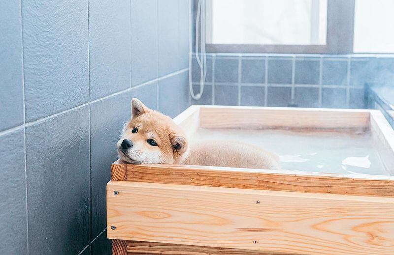 四季の宿 こよみ 皐月-image