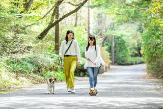 四季の宿 こよみ 水無月-image