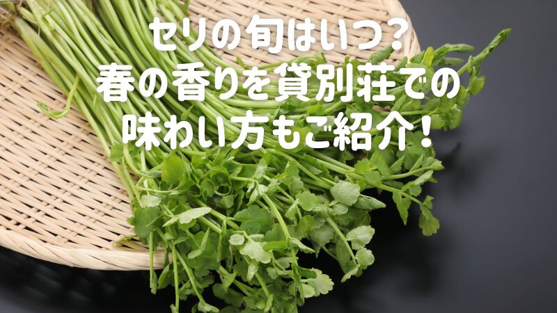 セリの旬はいつ？春の香りを貸別荘での味わい方もご紹介！