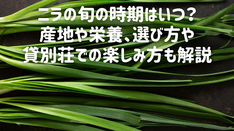 ニラの旬の時期はいつ?産地や栄養、選び方や貸別荘での楽しみ方も解説