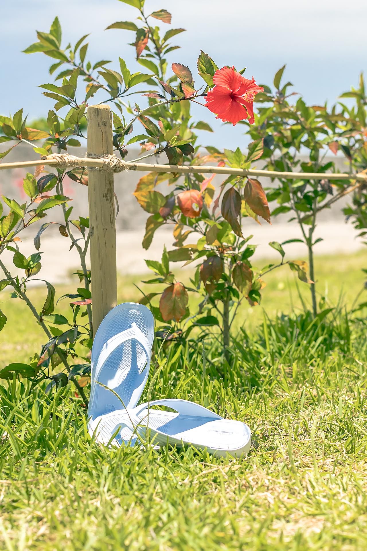 石垣島一棟貸し　潮-image