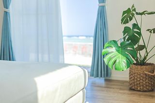 石垣島一棟貸し 潮-image