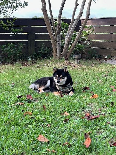 Capetown Resort-image