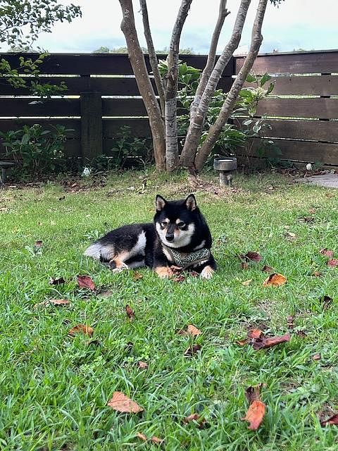 Capetown Resort-image