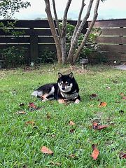 Capetown Resort-image