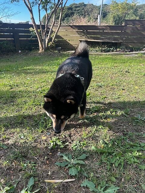 Capetown Resort-image