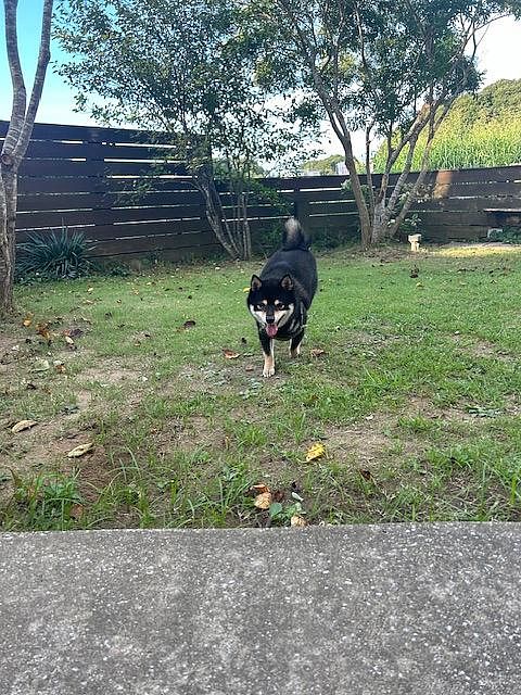 Capetown Resort-image