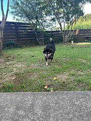 Capetown Resort-image