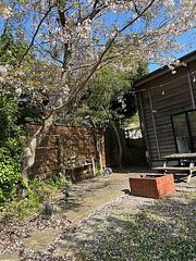 Capetown Resort-image