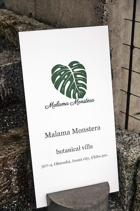 Malama Monstera-image