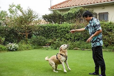 わんちゃんと芝生の庭で楽しく遊んでね！