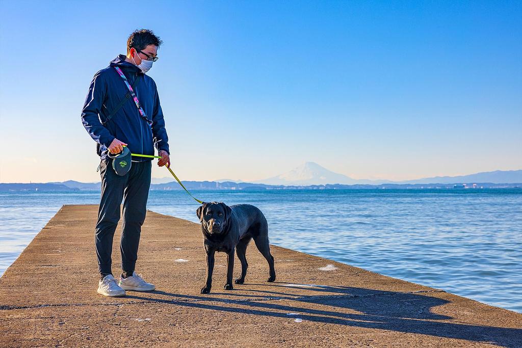 愛犬と楽しむ富士山散歩