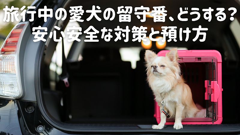 旅行中の愛犬の留守番、どうする？安心安全な対策と預け方