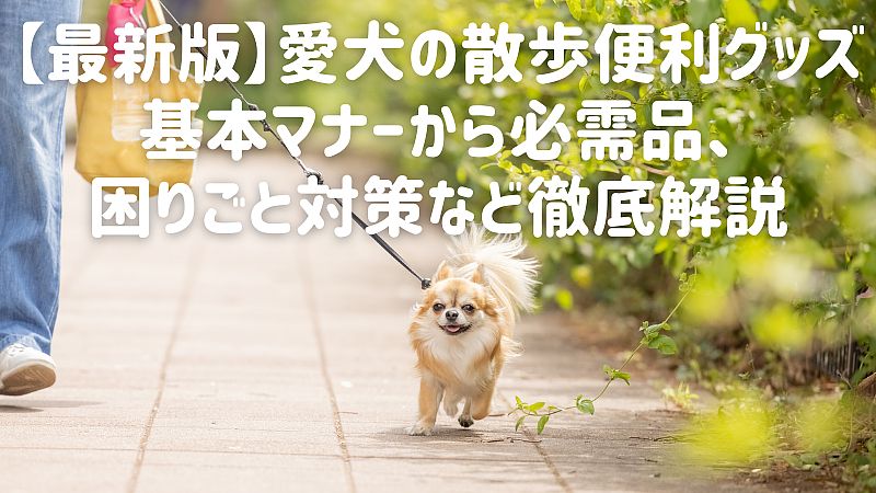 【最新版】愛犬の散歩便利グッズ｜基本マナーから必需品、困りごと対策など徹底解説