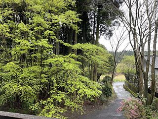 ２階寝室から見た敷地入口とアプローチ