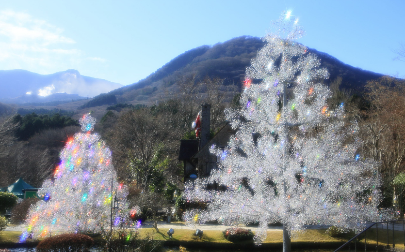 箱根ガラスの森のクリスマスツリー