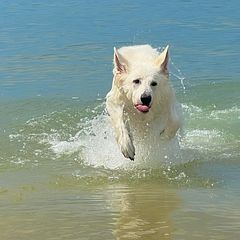 近くの海で遊べます