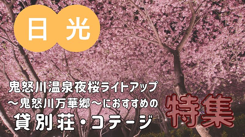 今年の春は、桜まつりに行こう！【鬼怒川温泉夜桜ライトアップ～鬼怒川万華郷～・日光編】