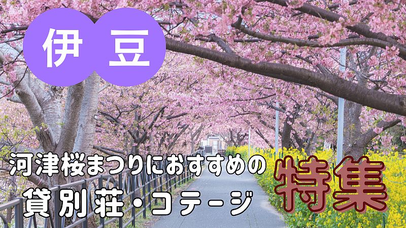 今年の春は、桜まつりに行こう！【河津桜まつり・伊豆編】