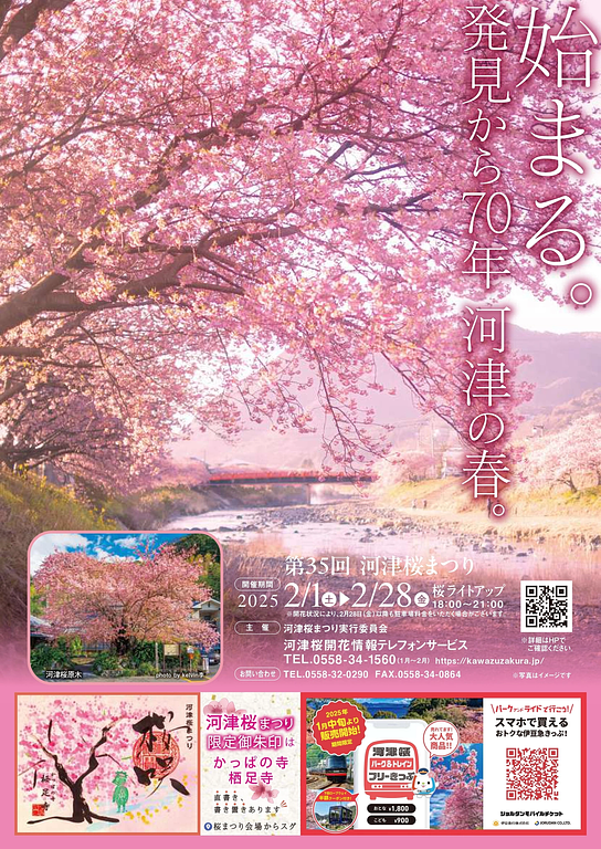 河津桜まつり