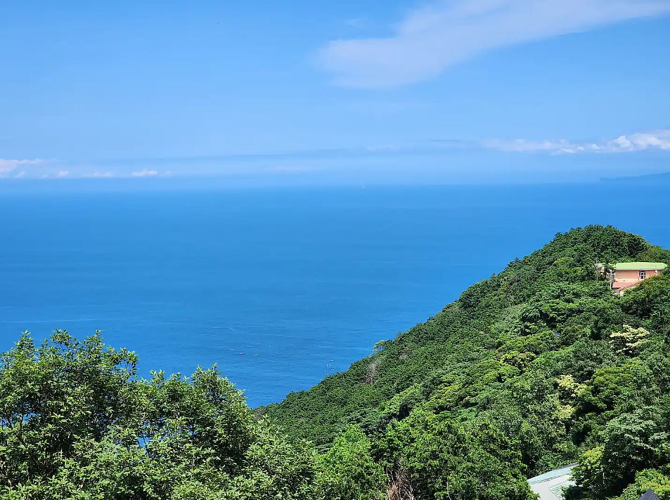 Route99 IZU COLA-image