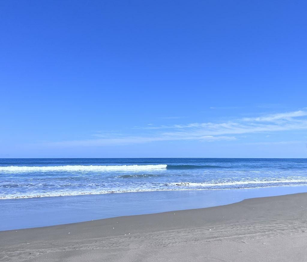 近くの海