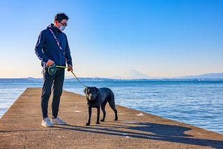 晴れた日には綺麗な富士山が見れるかも！