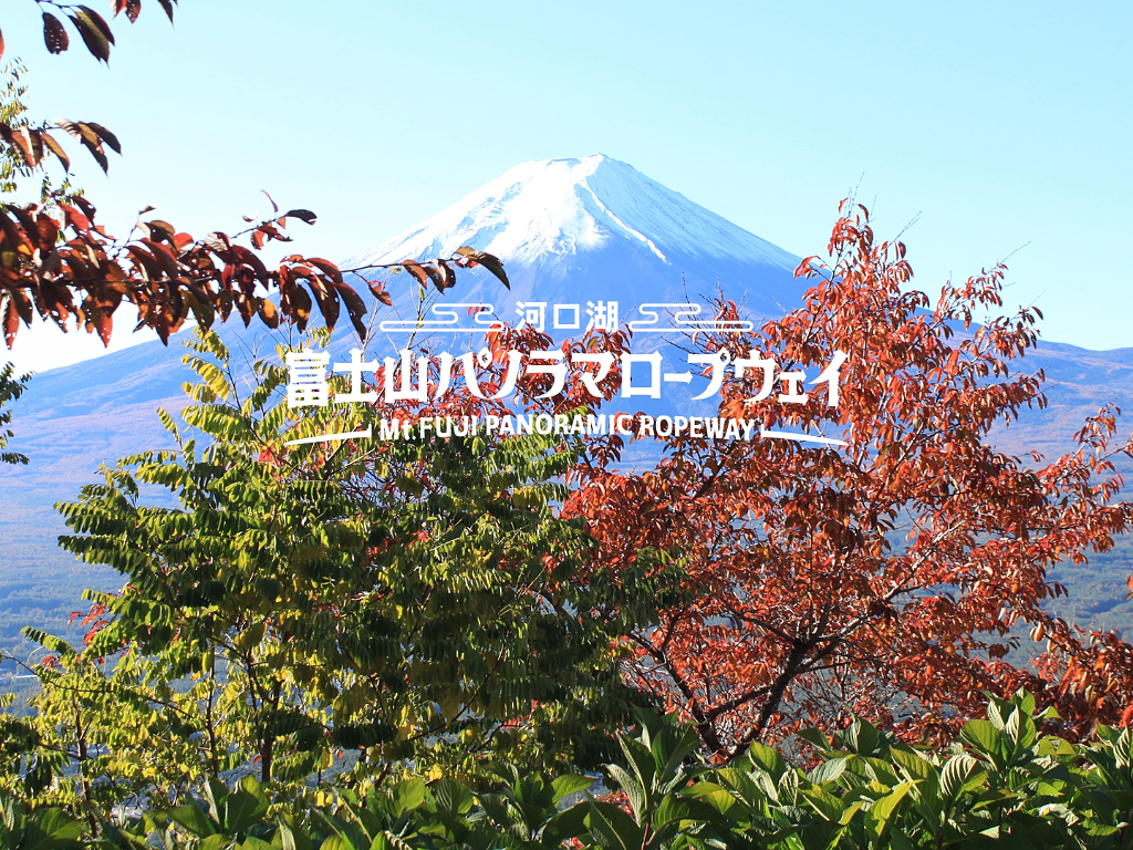 富士山パノラマロープウェイのロゴが入った画像。色づいた紅葉と緑の木々の間から、雪をかぶった富士山が青空に映えている。秋の美しい風景が広がる。