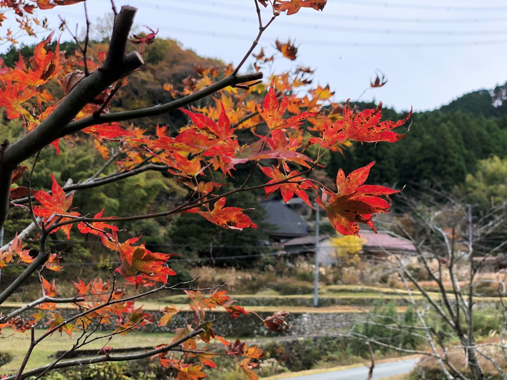 ラカミオ　LaKamio refuge&restaurant -image