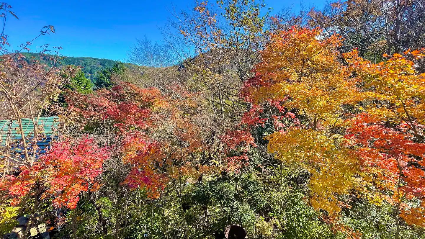 雅・小涌谷　温泉別荘-image