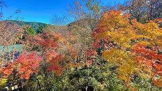 雅・小涌谷　温泉別荘-image