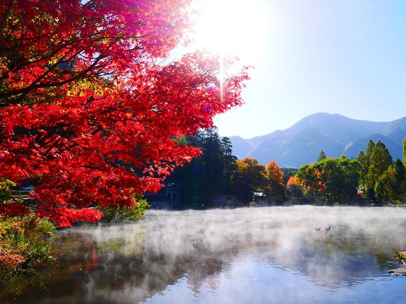 紅葉が鮮やかに色づく木々が湖畔に広がる美しい秋の風景。湖面からは朝霧が立ち上り、背景には山々が広がっている。澄んだ青空の下、自然の美しさが際立っている光景。