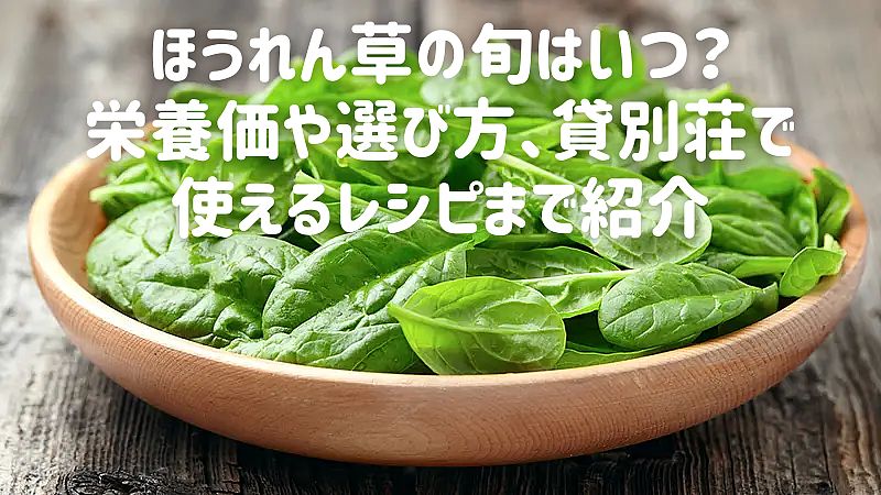 ほうれん草の旬はいつ？栄養価や選び方、貸別荘で使えるレシピまで紹介