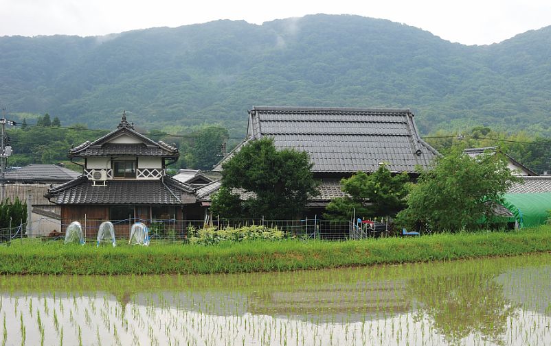 6月田植えのころ裏からの外観