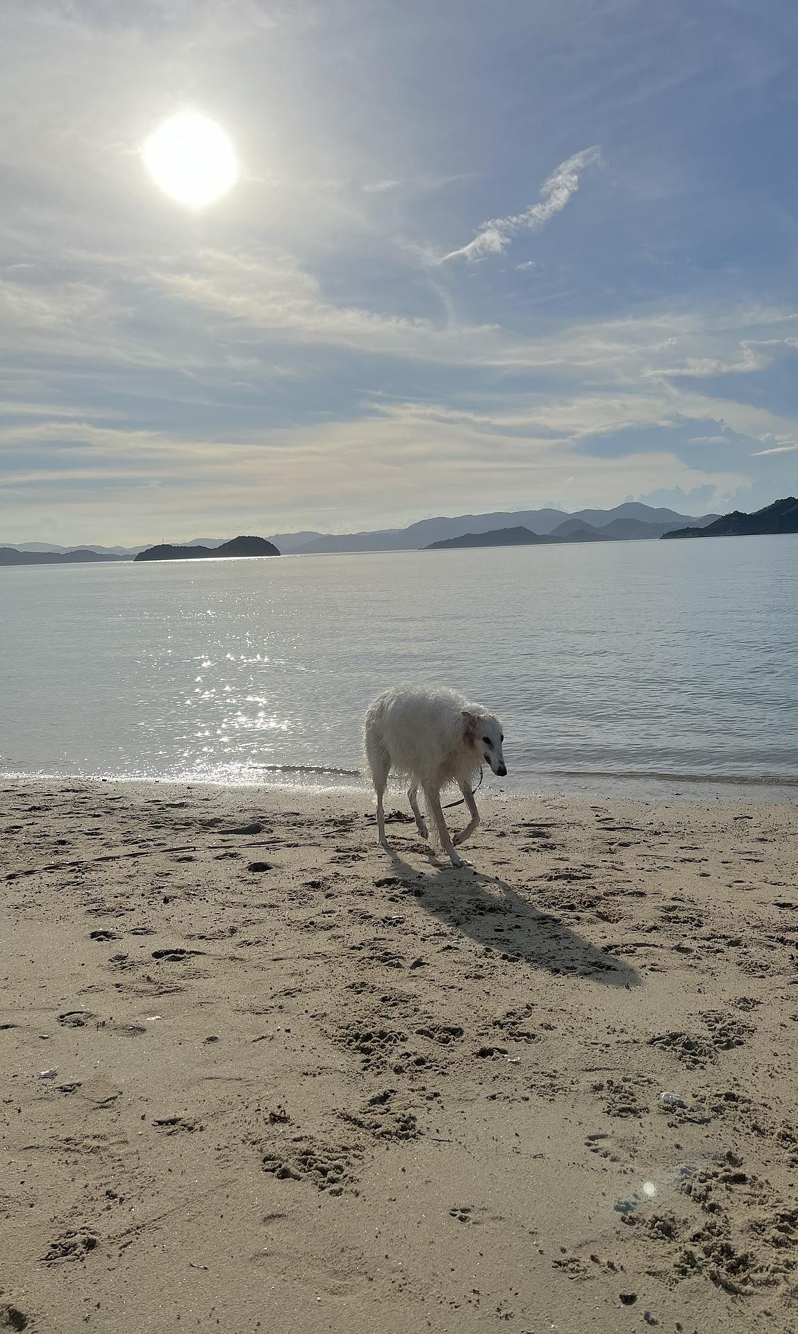 近くの海で遊べます