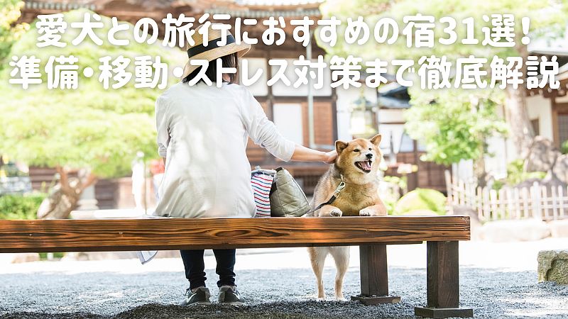 愛犬との旅行におすすめの宿31選！準備・移動・ストレス対策まで徹底解説