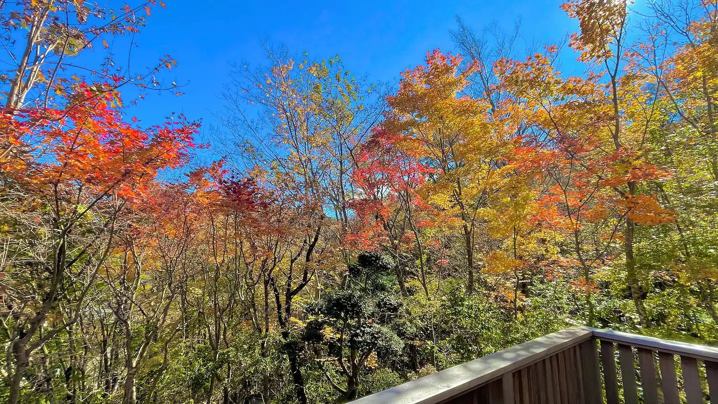 雅・小涌谷　温泉別荘-image