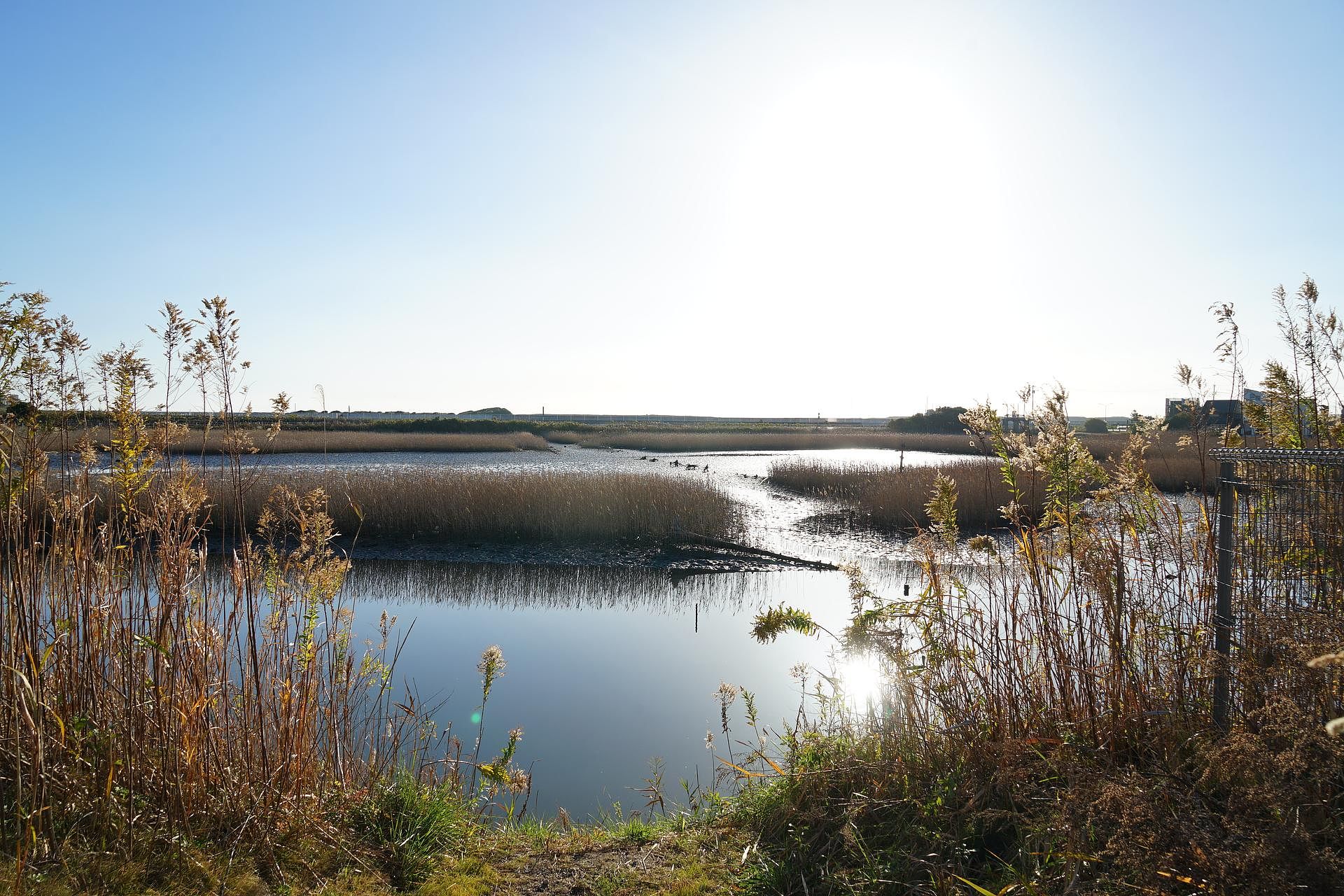 Hana-lagoon-image