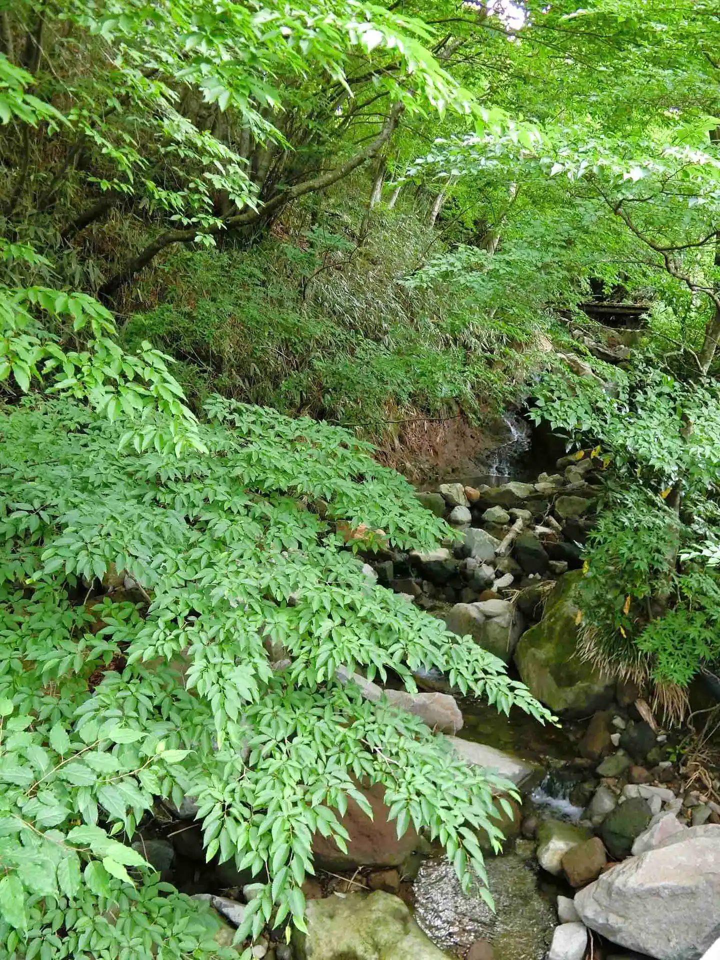 雅・小涌谷　温泉別荘-image