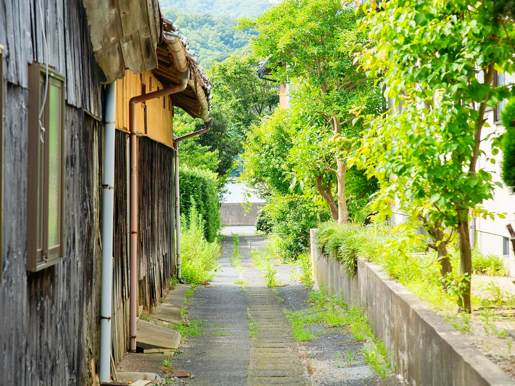 緑豊かな通り道、古い建物と木々が並ぶ境港の風景