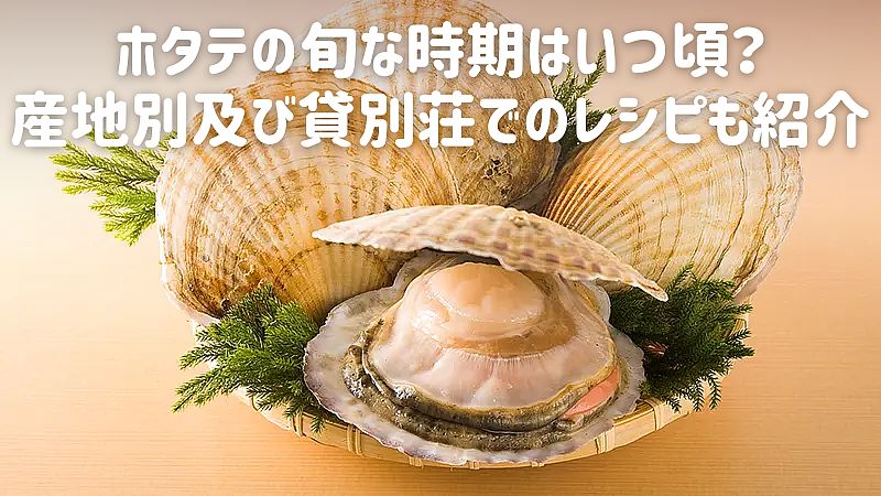 ホタテの旬な時期はいつ頃？産地別及び貸別荘でのレシピも紹介