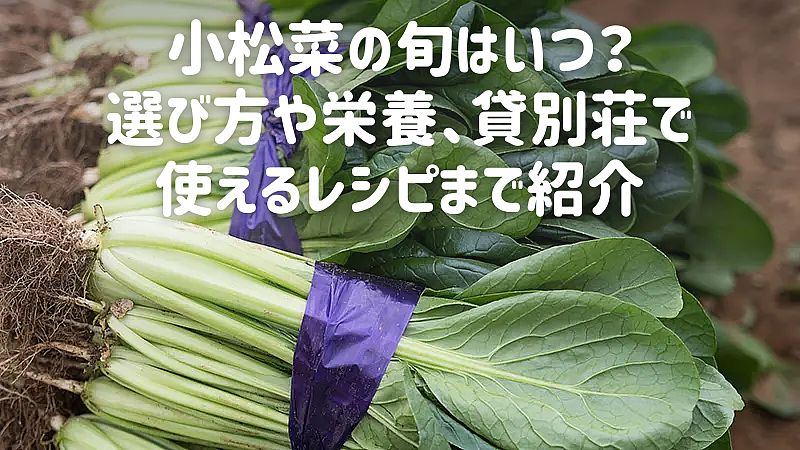 小松菜の旬はいつ？選び方や栄養、貸別荘で使えるレシピまで紹介