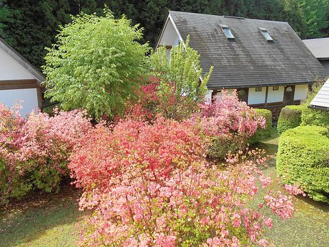 ログコテージリトルベアーズ連棟タイプ / 栃木県 日光・中禅寺湖